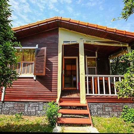 Sunrise Bungalows Çıralı Exterior foto