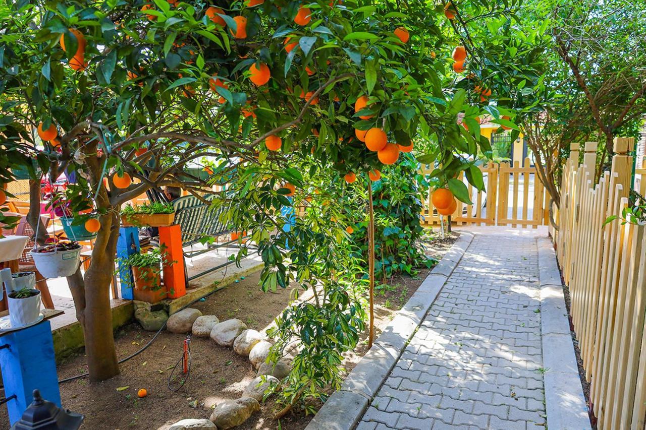 Sunrise Bungalows Çıralı Exterior foto