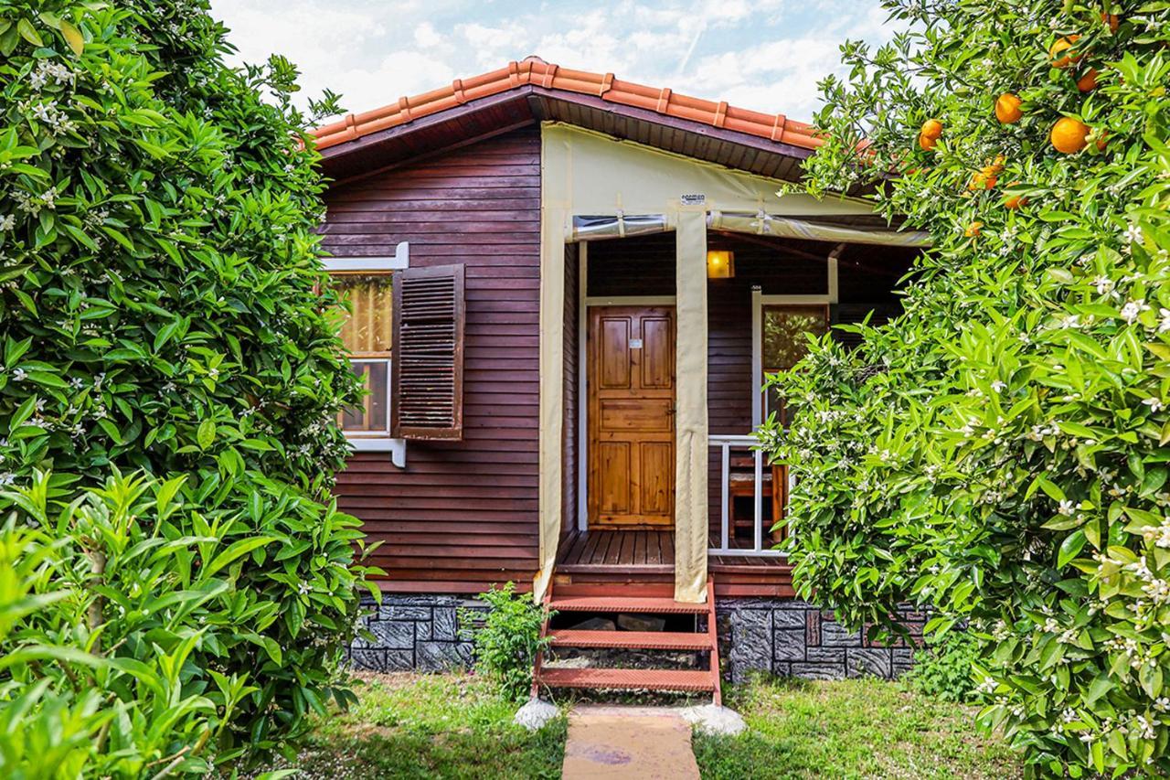 Sunrise Bungalows Çıralı Exterior foto
