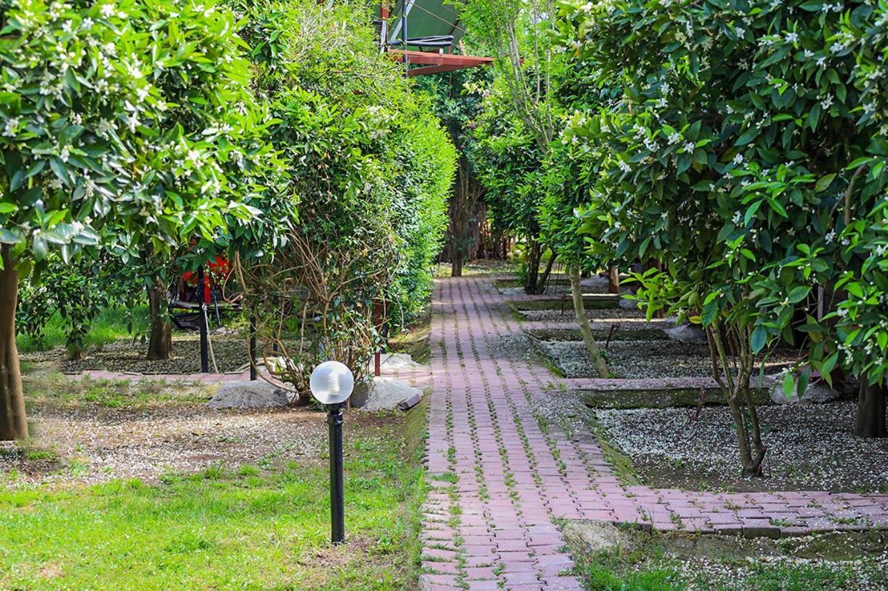 Sunrise Bungalows Çıralı Exterior foto